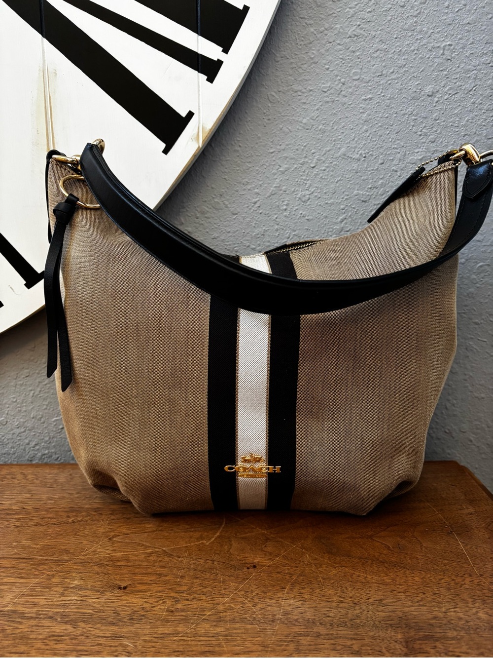 Coach Skylar Large Hobo Bag